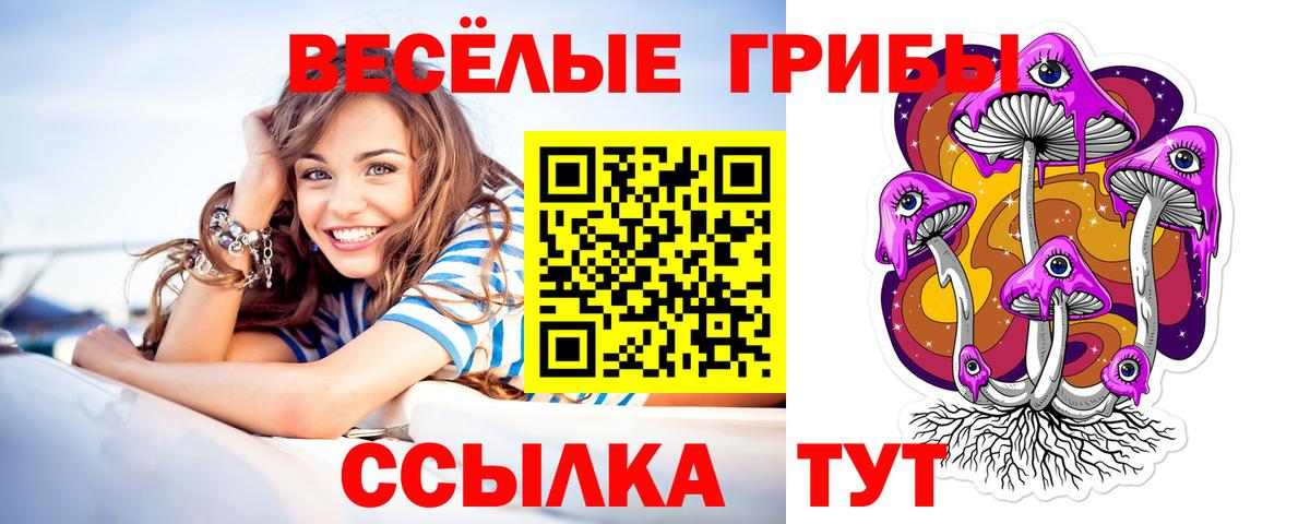 Галлюциногенные грибы Magic Shrooms  хочу наркоту  Алапаевск  Галлюциногенные грибы Magic Shrooms  Вход с VPN 